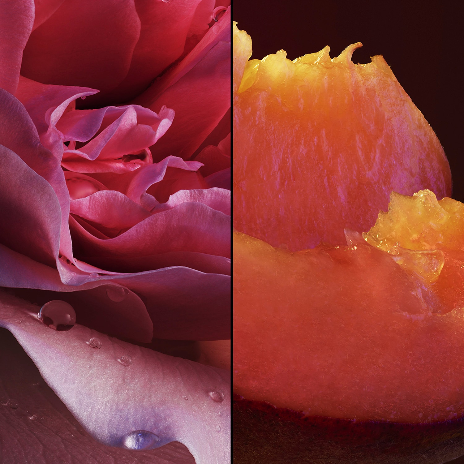 Nahema Eau de Parfum de GUERLAIN ≡ SEPHORA