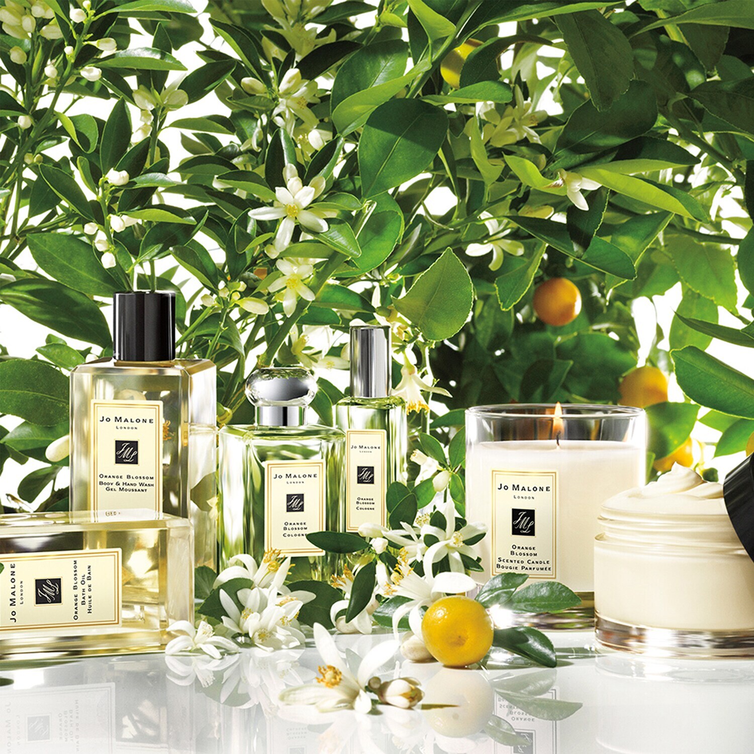 Orange Blossom Eau de Cologne de JO MALONE LONDON ≡ SEPHORA